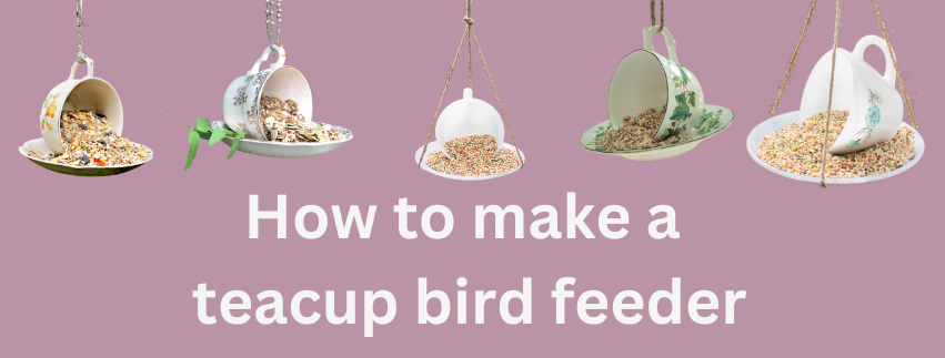 how to make a tea cup bird feeder.png